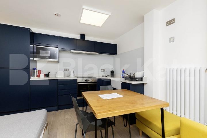 Stunning recently refurbished one bedroom close to Euston St Drummond Street, Camden / Euston